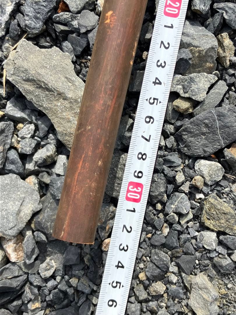 女竹本煤竹　希少2節