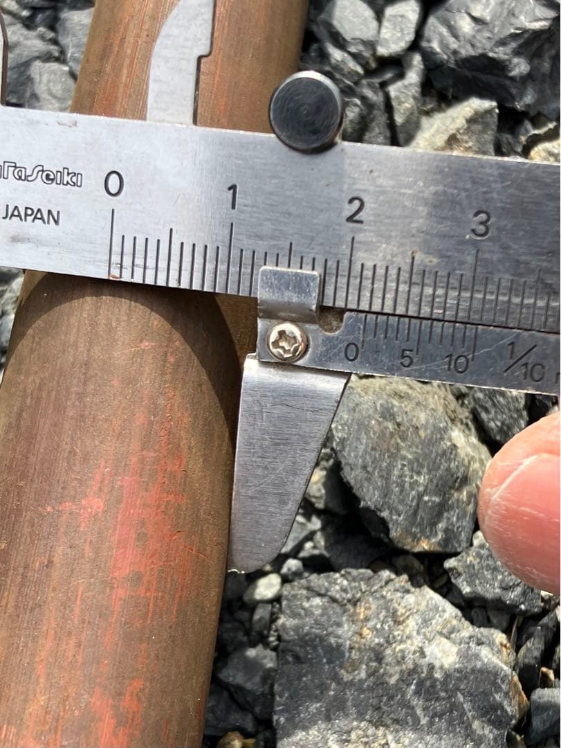 女竹本煤竹　希少2節