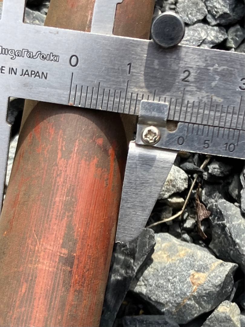 女竹本煤竹　希少2節