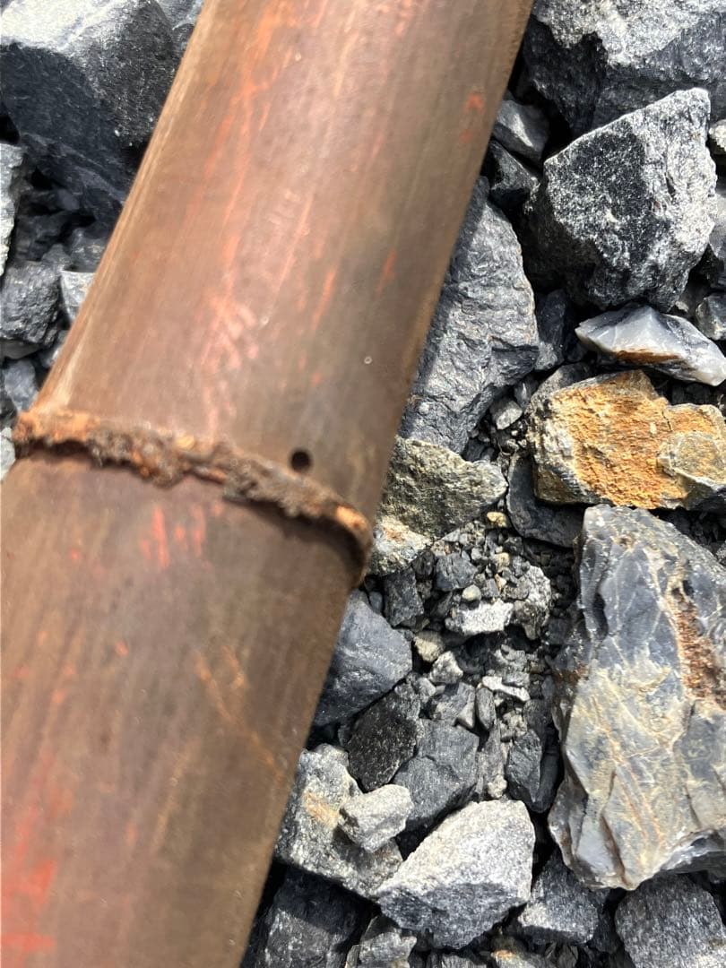 女竹本煤竹　希少2節