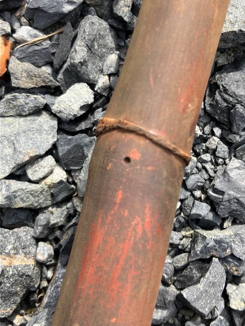 女竹本煤竹　希少2節