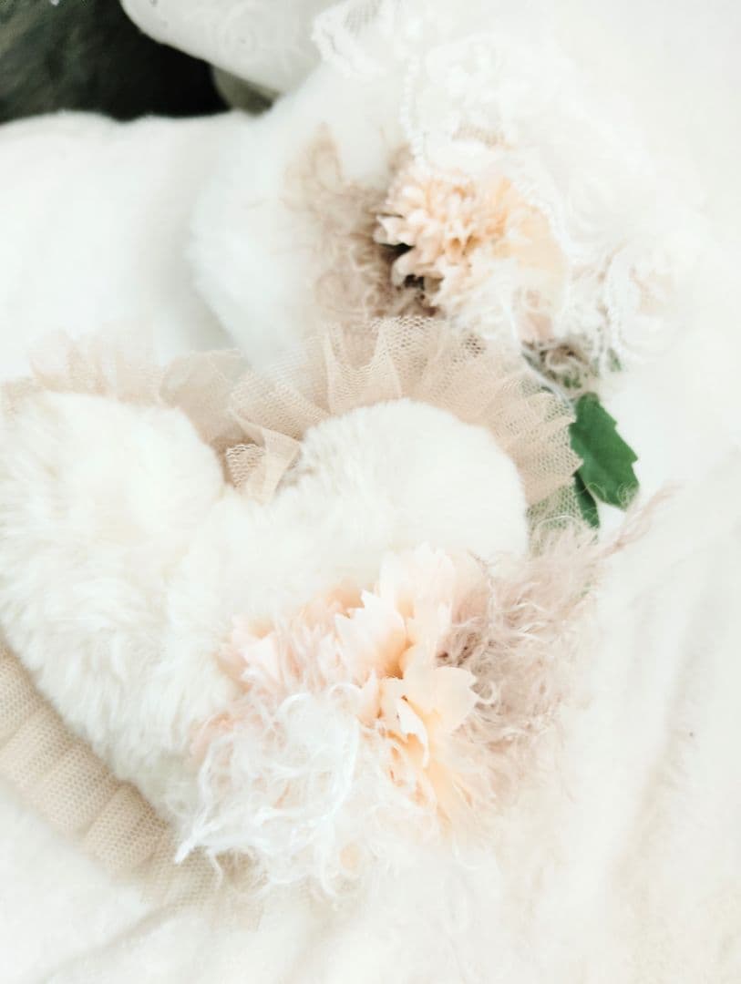 生後２日♡生まれたて子猫ちゃん♡エキゾベビー♡お布団セット♡アートドール♡