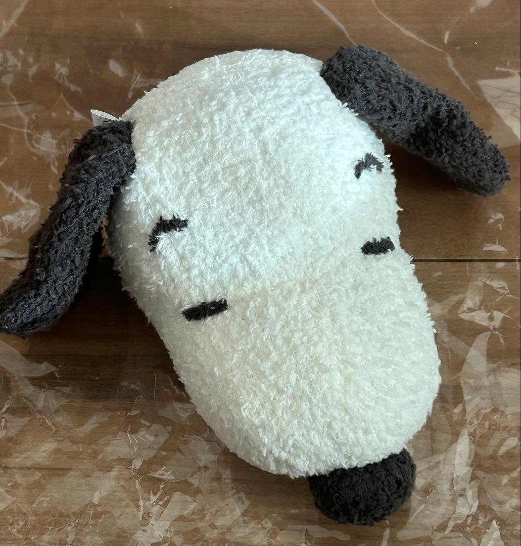 ジェラピケ3点セット