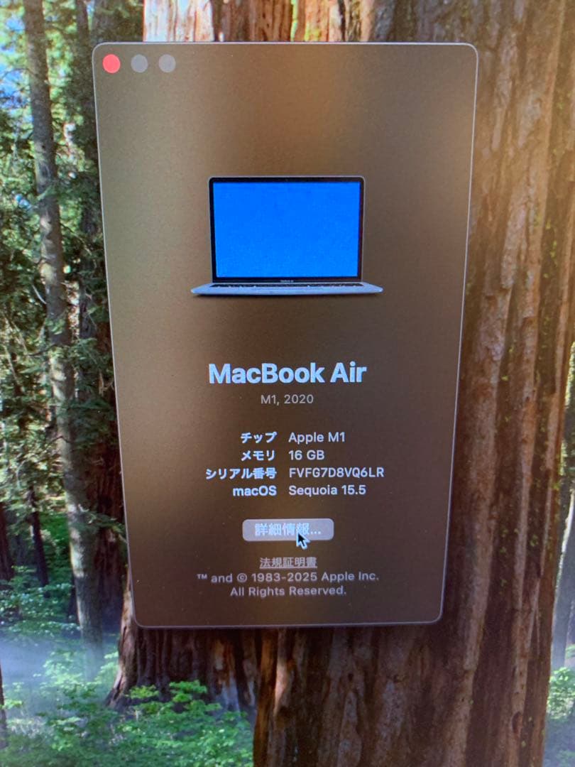 MacBook本体 MacBook Air M1 16G 256G