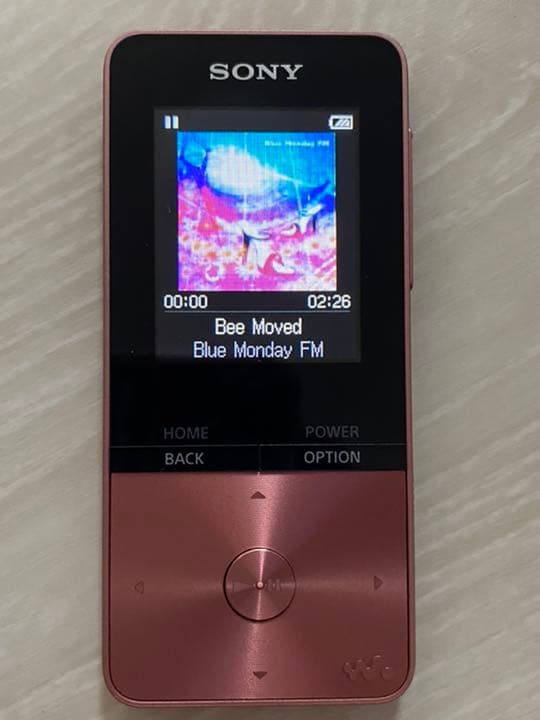 SONY WALKMAN  NW–S315