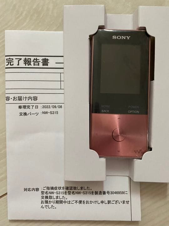 SONY WALKMAN  NW–S315