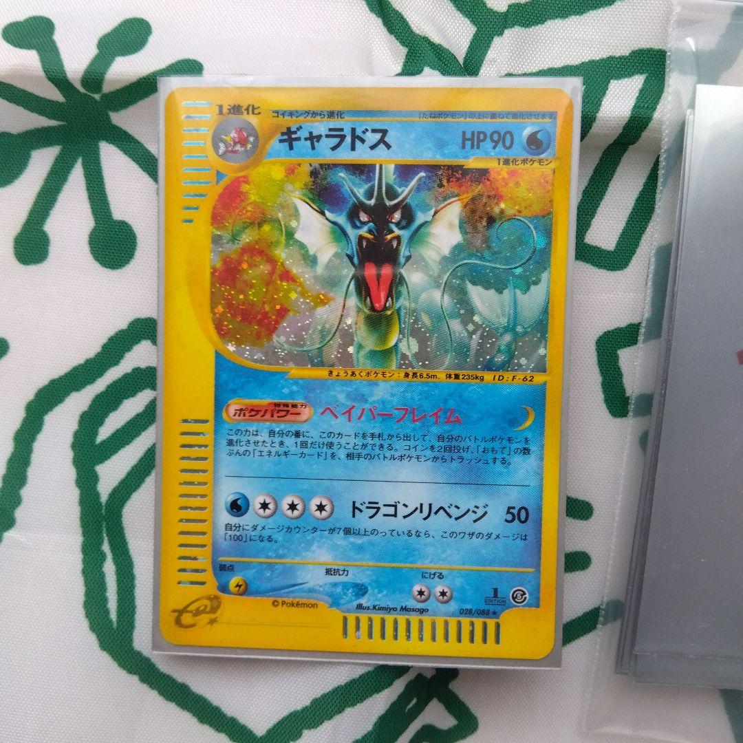 シャギギャラドス&デッキケース&スリーブ&ポケモン初期３Ｄカード