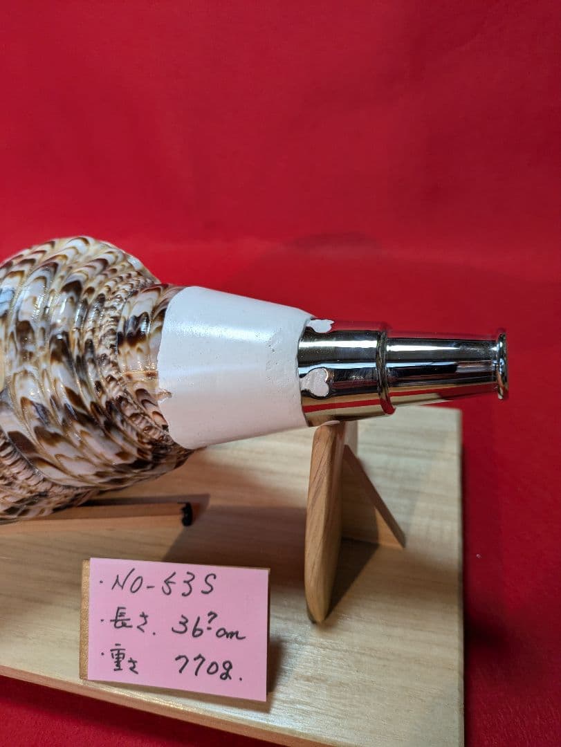 法螺貝、ＮＯ−５３Ｓ ホラ貝、和楽器、和太鼓、修験道、置物