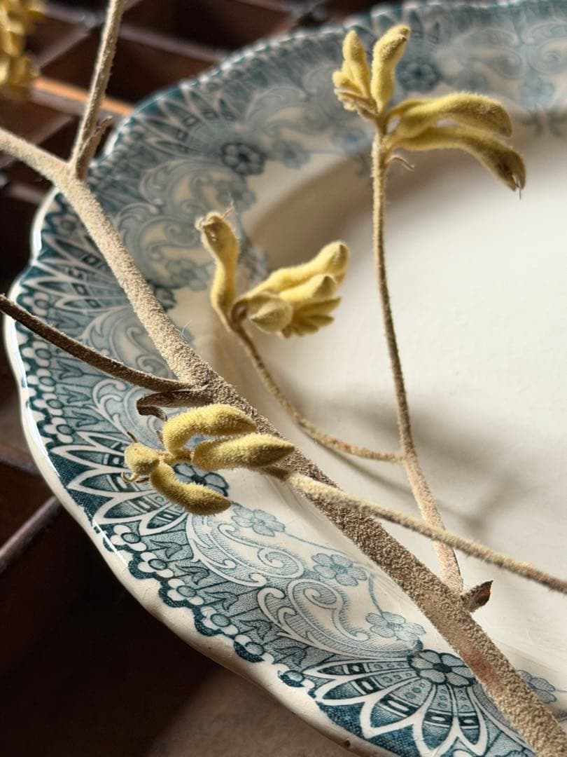 ⚫︎フランスアンティーク⚫︎ショワジールロワ 小花フリル花びら深青プレート 皿