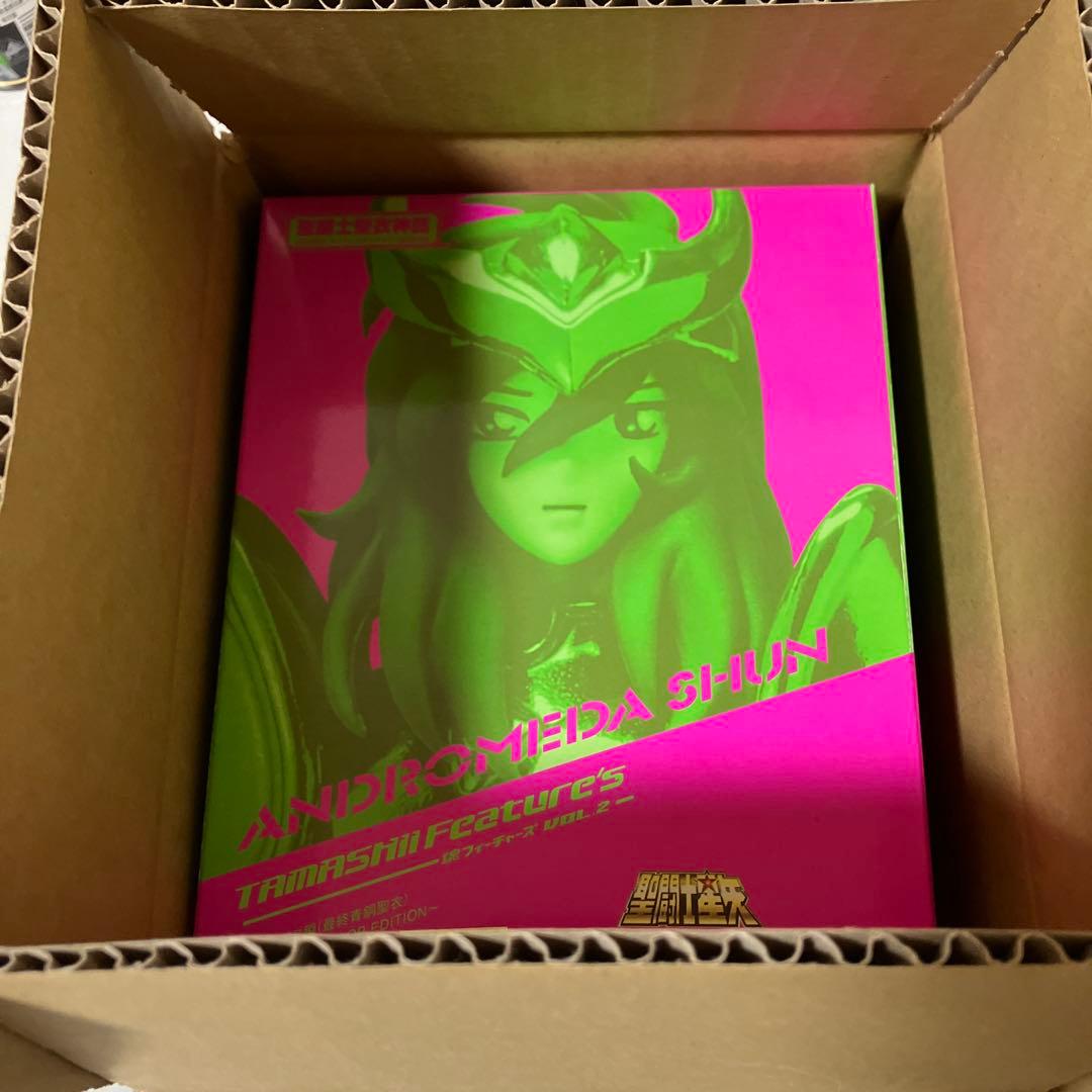 聖闘士聖衣神話 アンドロメダ瞬　最終青銅聖衣