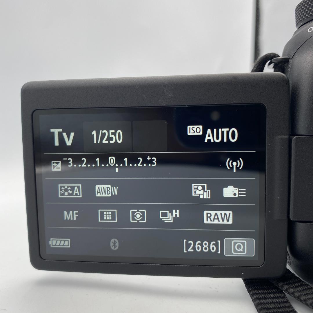 美品 Canon EOS 6D Mark II 本体 充電器 バッテリー セット