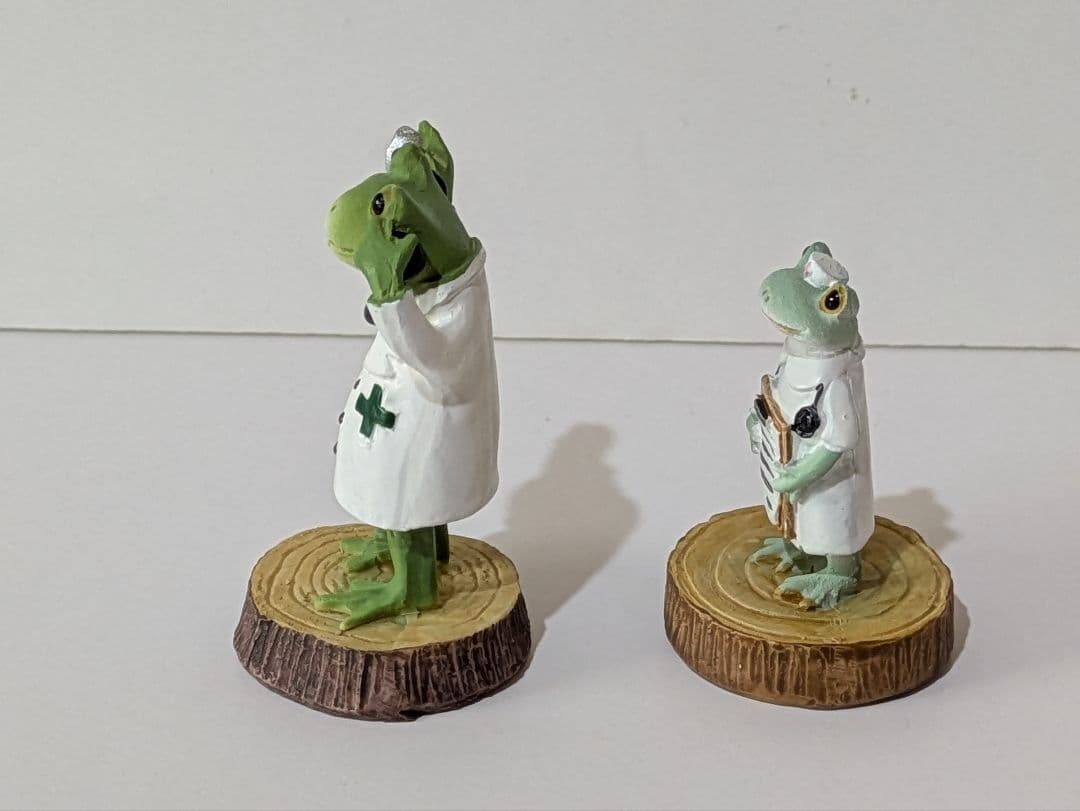 コポー カエル 【希少】