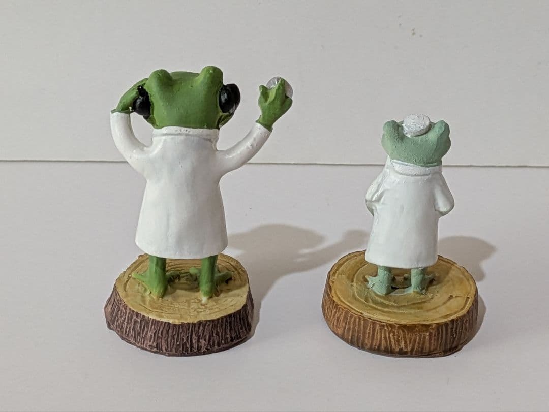 コポー カエル 【希少】