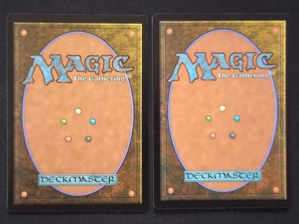 MTG 黙示録、シェオルドレッド 2枚セット 日本語 団結のドミナリア DMU