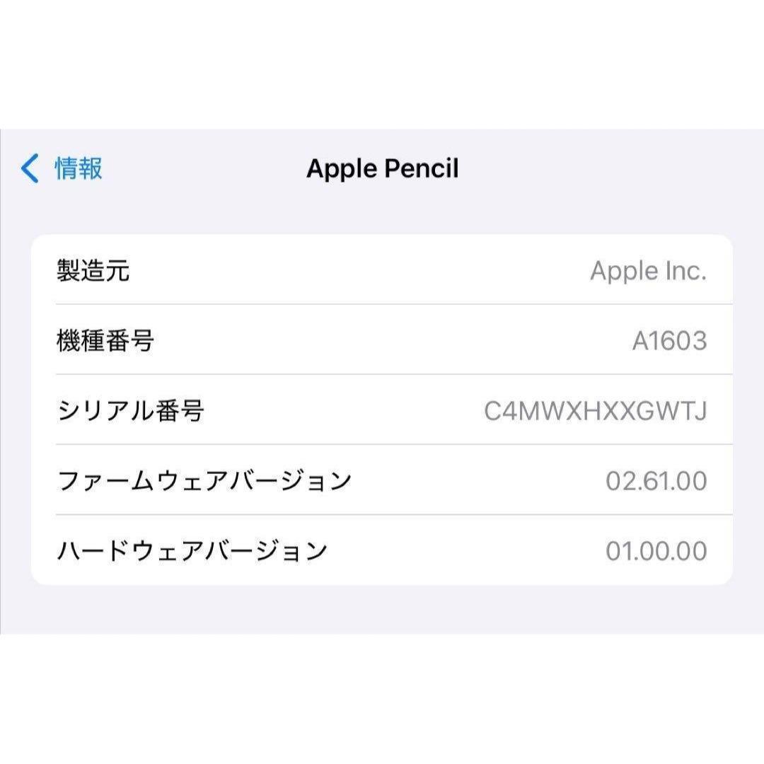 正常動作確認済み　付属品有り　Apple Pencil 第1世代