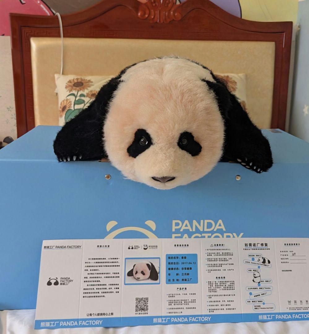 【9/26発売変更】おでシャン♡おでシャオレイ♡おりんご♡オランタン変身コス