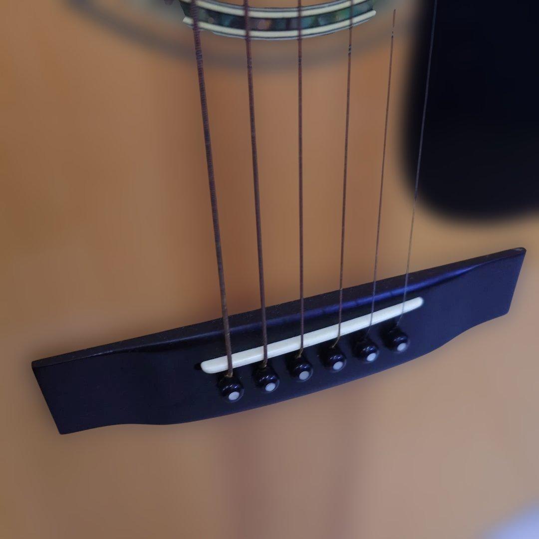 MORRISモーリス W-30アコースティックギター