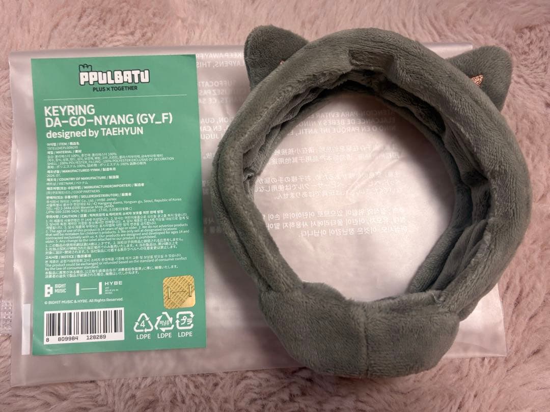 TXT テヒョン ダゴニャン ペンライトカバー 初期