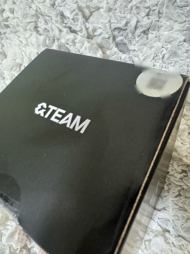 &TEAM ペンライト 付属品付き