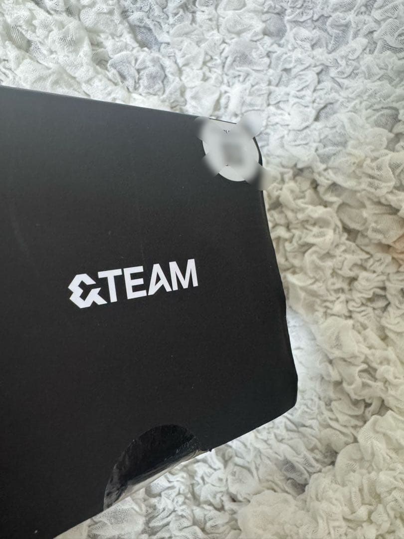 &TEAM ペンライト 付属品付き