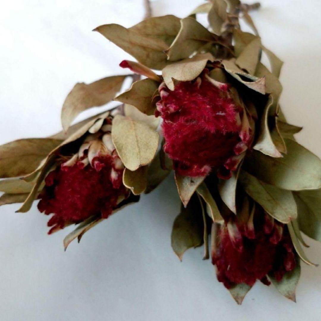 riko様 リクエスト 5点 まとめ商品