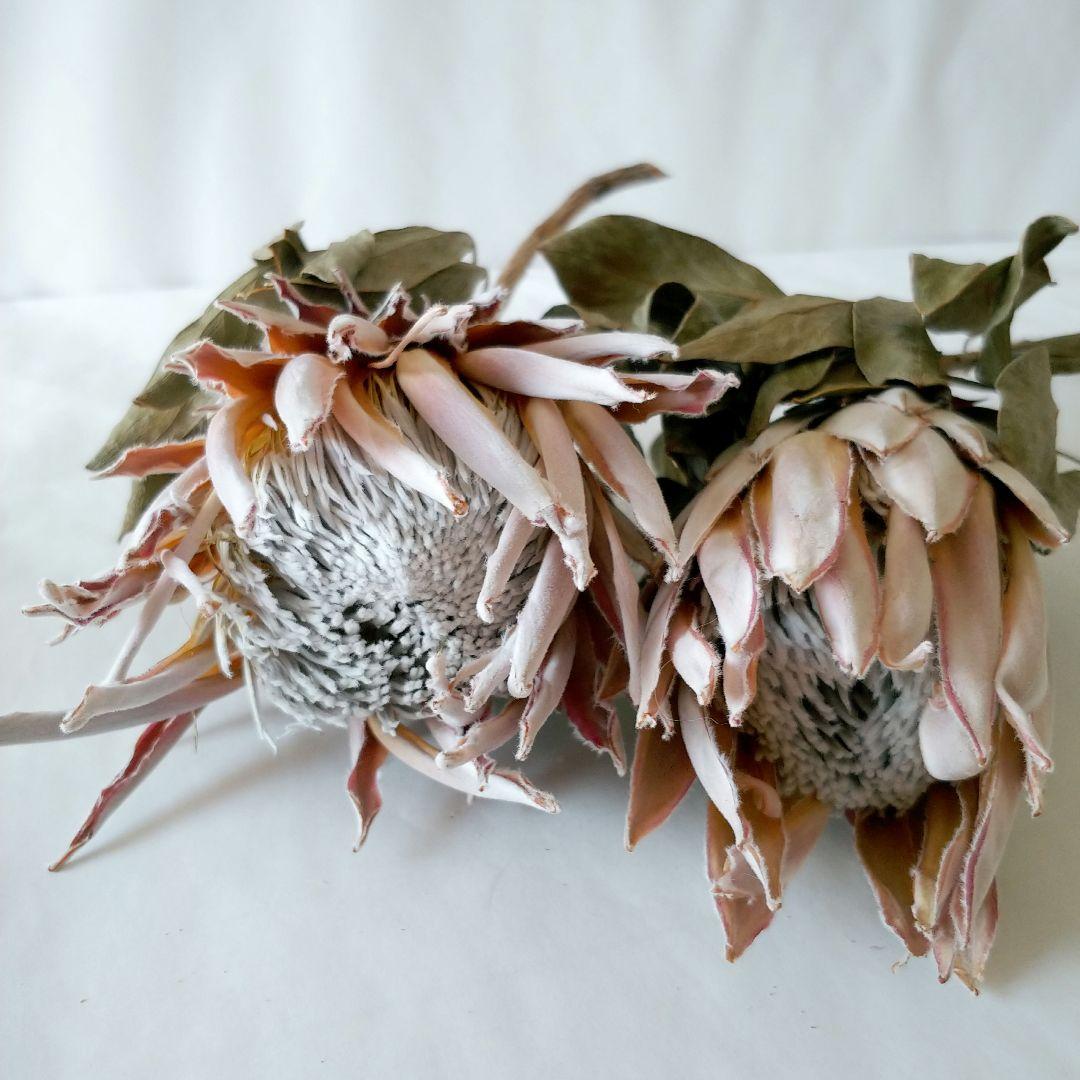 riko様 リクエスト 5点 まとめ商品