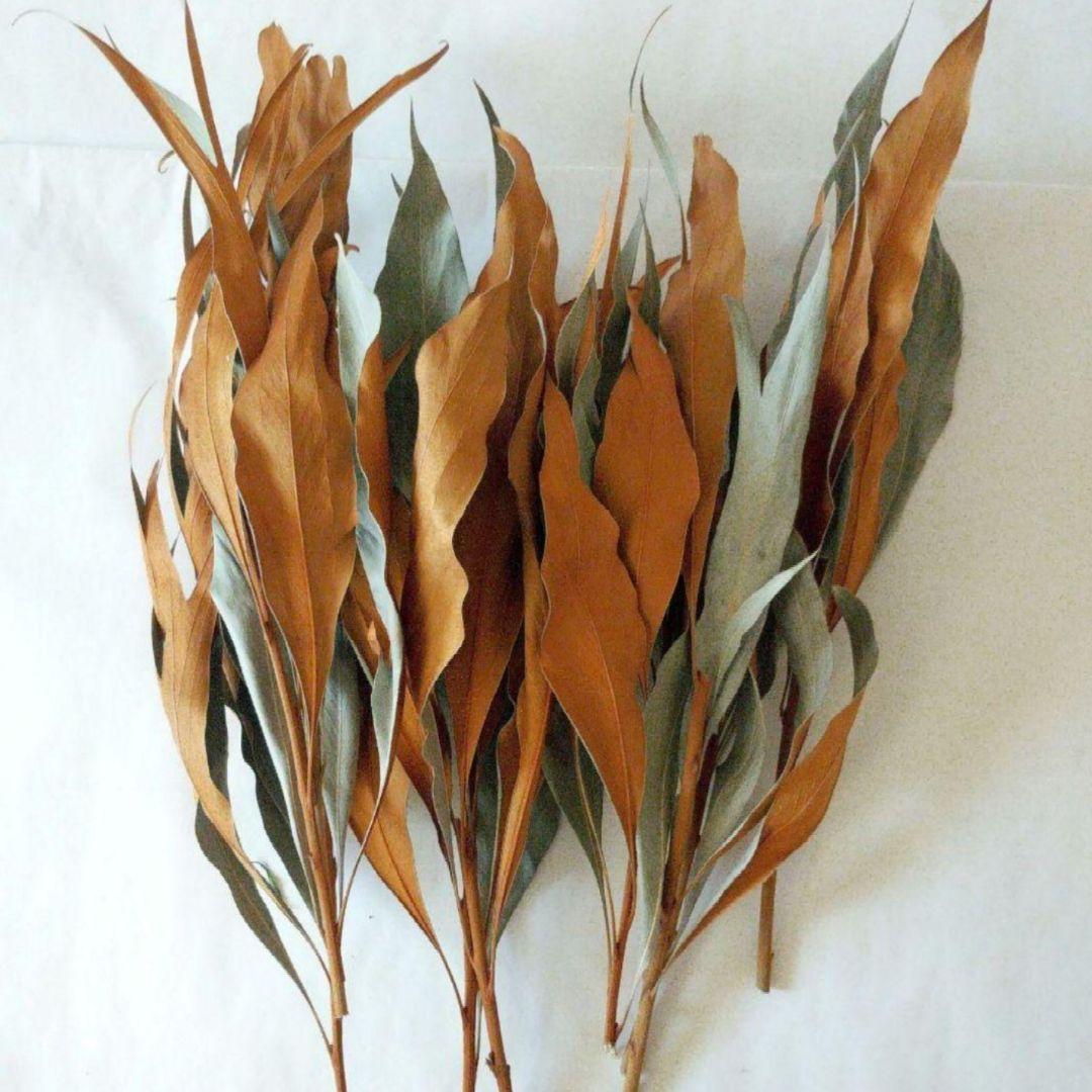 riko様 リクエスト 5点 まとめ商品