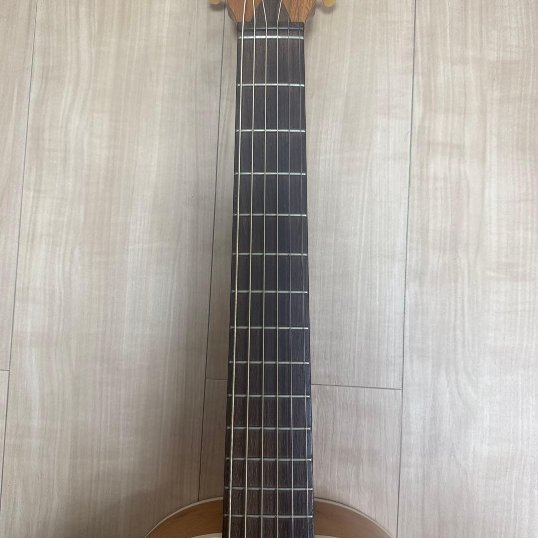 K.Yairi ノクターン ケーヤイリ 初期型 アカシア 稀少モデル