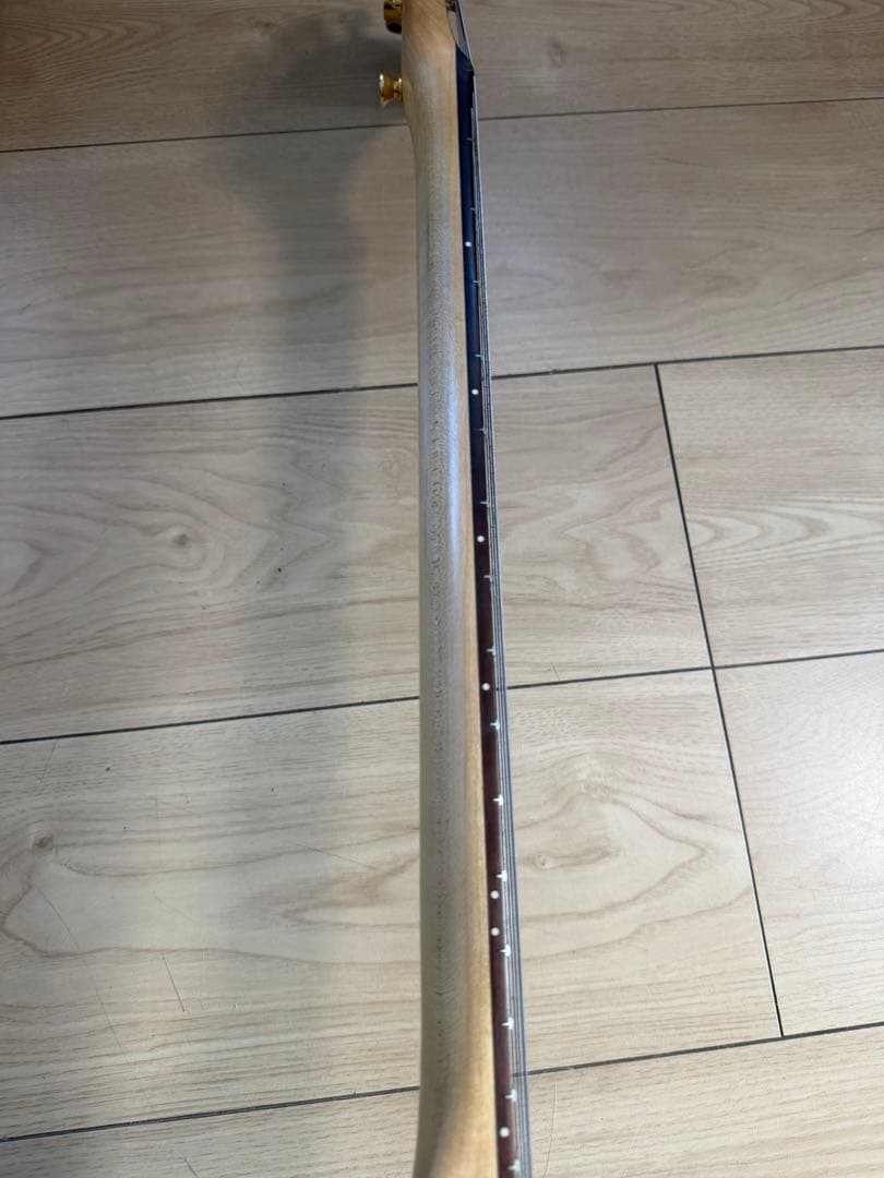 ZO-3 マッチングヘッド FERNANDES アンプ内蔵 ミニギター