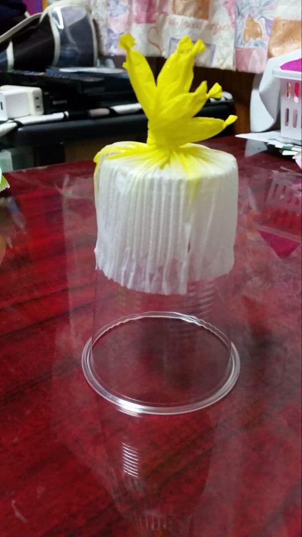 サボテン