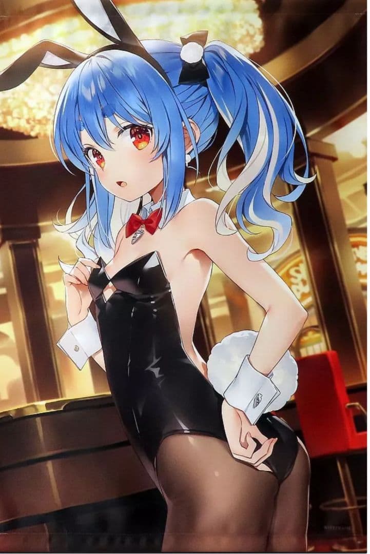 ホロライブ 兎田ぺこら B2タペストリー c103+105セット 憂姫はぐれ