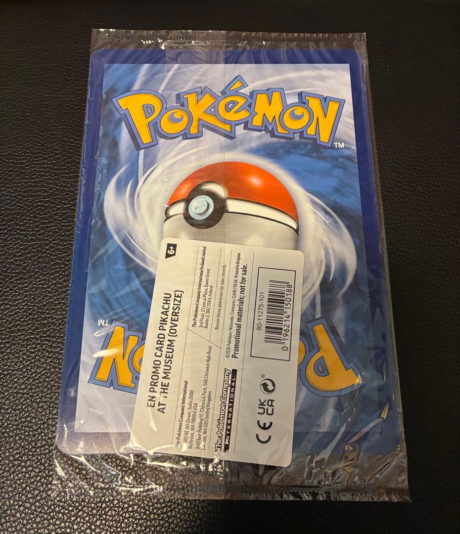 Pikachu at the Museum ピカチュウ ロンドン自然史博物館26