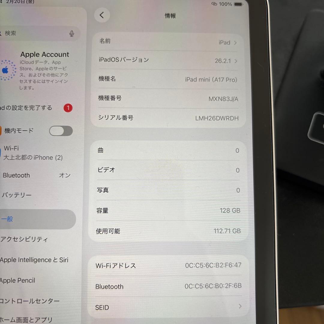 Apple iPad mini ピンク 本体