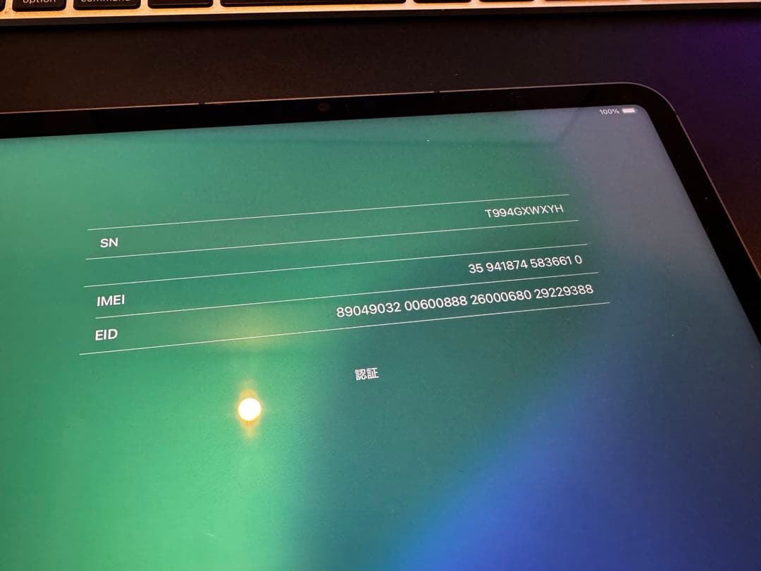 iPadPro12.9 第5世代 512GB セルラーau スペースグレー