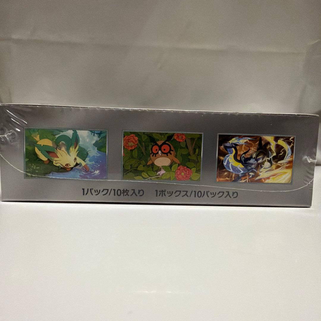 テラスタルフェス シュリンク付