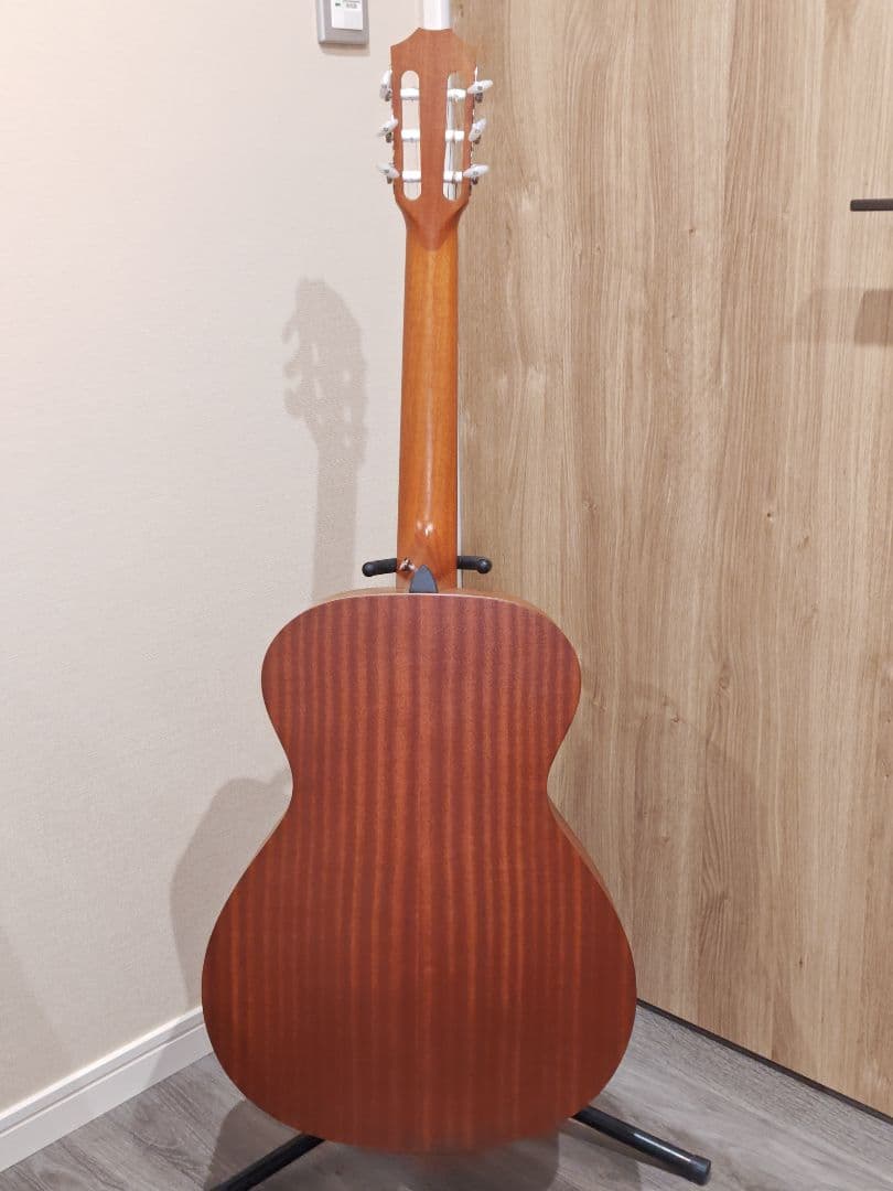 Taylor Academy　12-N ガットギター