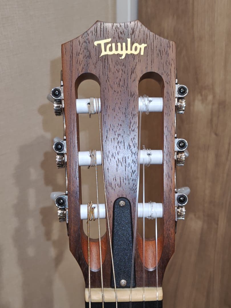Taylor Academy　12-N ガットギター