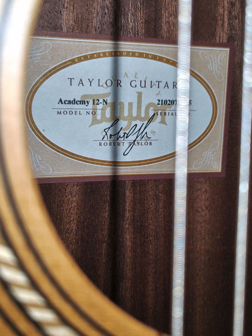 Taylor Academy　12-N ガットギター