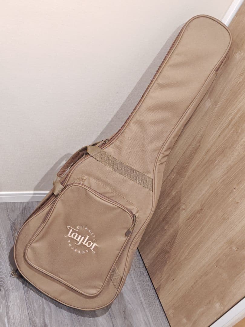 Taylor Academy　12-N ガットギター