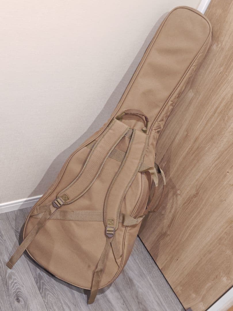 Taylor Academy　12-N ガットギター