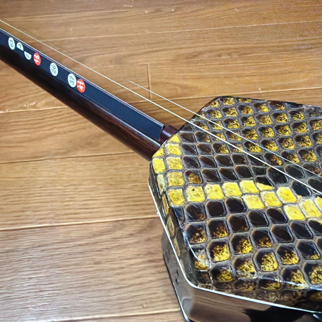 超高級 二胡 本革 蛇革 中国 民族楽器 黒壇 ハードケース付 ☆5 最上級