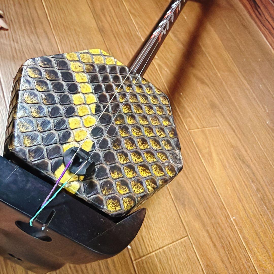 超高級 二胡 本革 蛇革 中国 民族楽器 黒壇 ハードケース付 ☆5 最上級