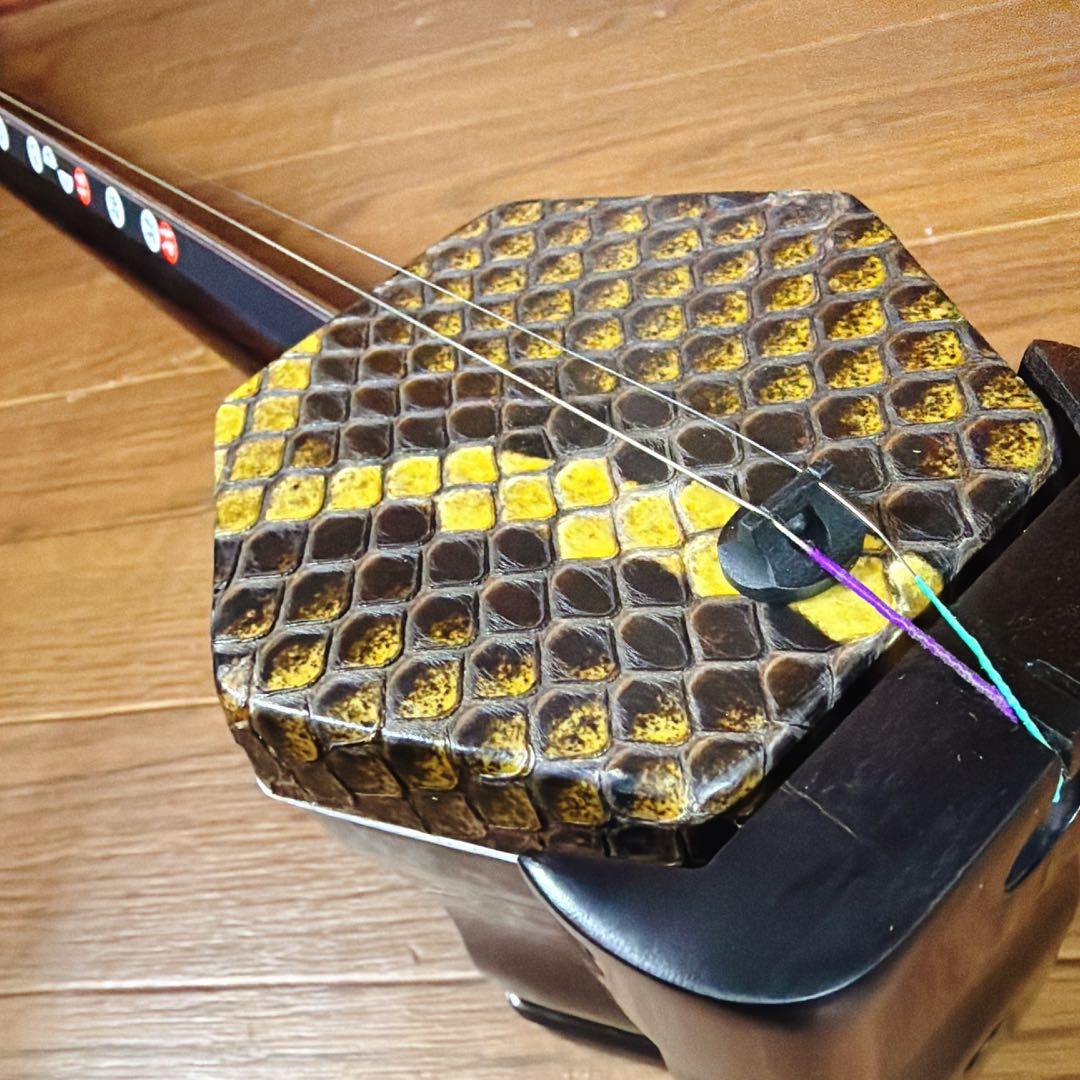 超高級 二胡 本革 蛇革 中国 民族楽器 黒壇 ハードケース付 ☆5 最上級