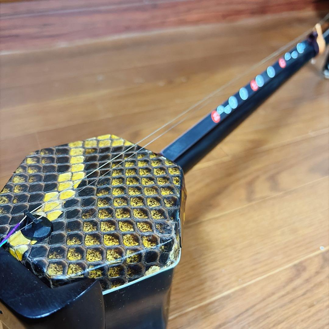 超高級 二胡 本革 蛇革 中国 民族楽器 黒壇 ハードケース付 ☆5 最上級