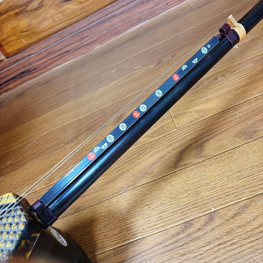 超高級 二胡 本革 蛇革 中国 民族楽器 黒壇 ハードケース付 ☆5 最上級