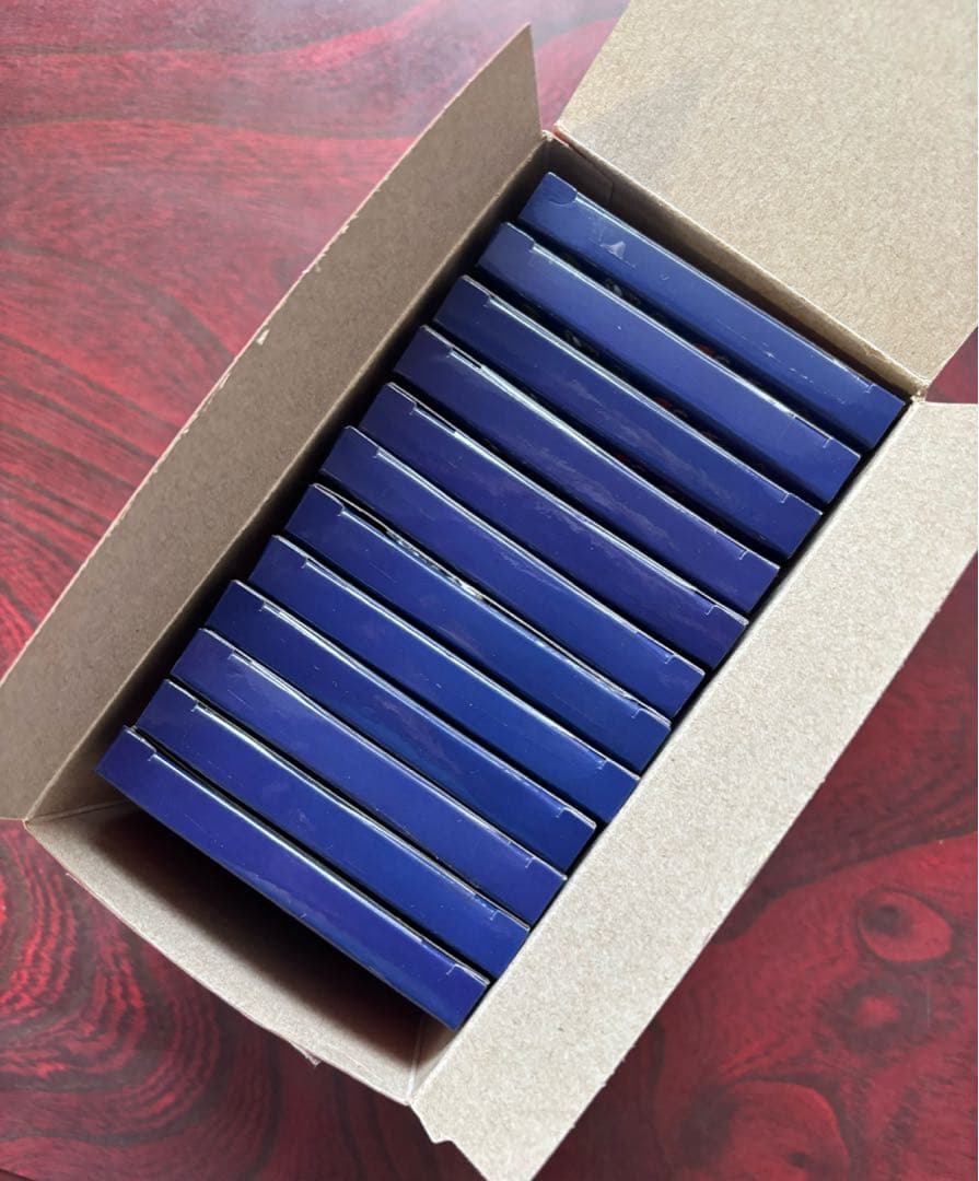 ポケモン　N　デンジ　クリアファイル　ラバーストラップコレクションVol.2付き