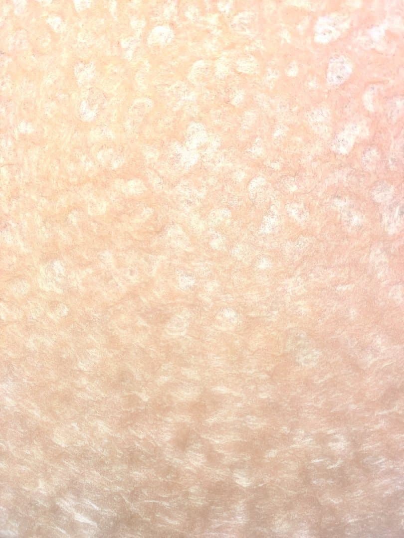 小原和紙　ウォールアート　アーティストユニット　かのうともみひさし作