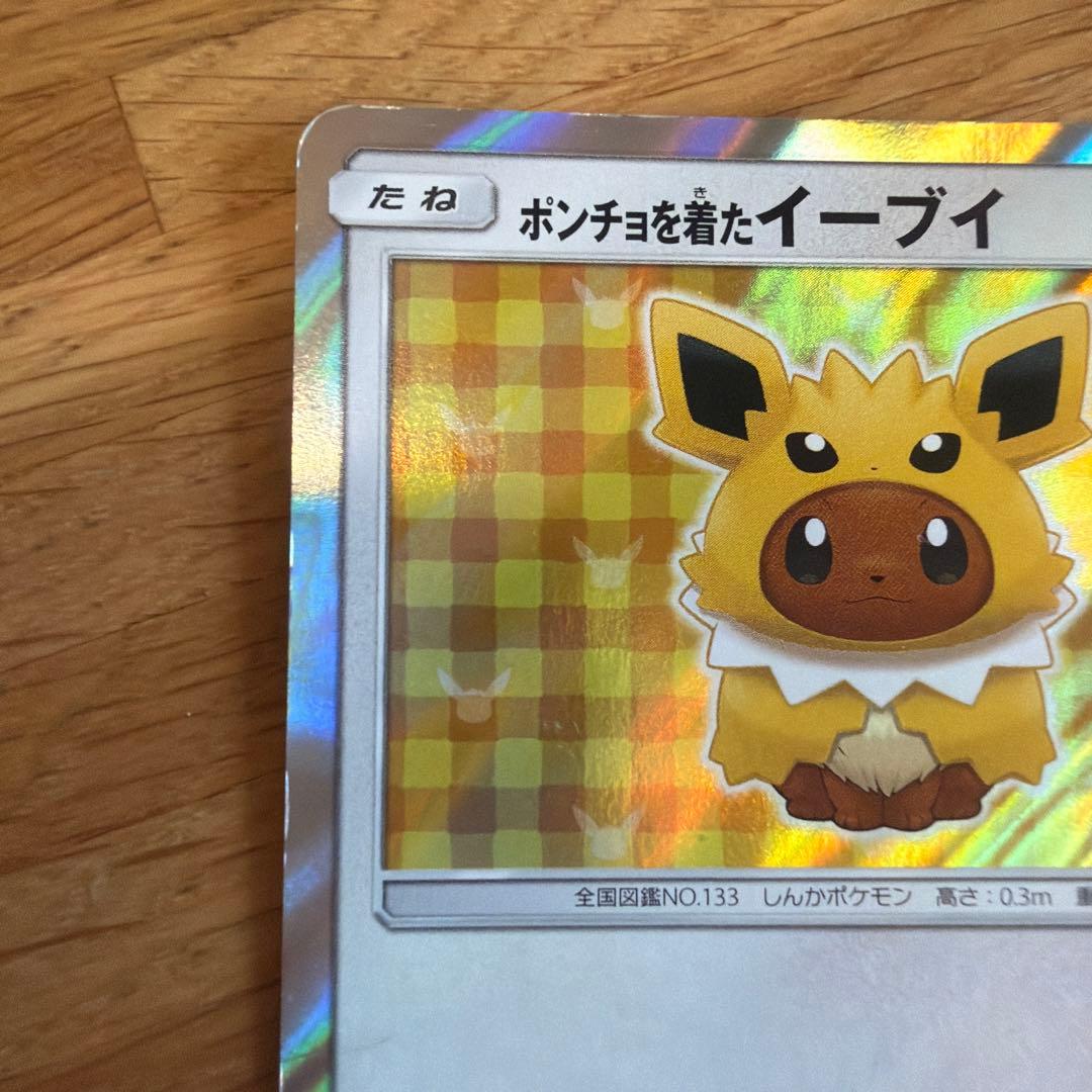 ポンチョを着たイーブイ T138/SM-P