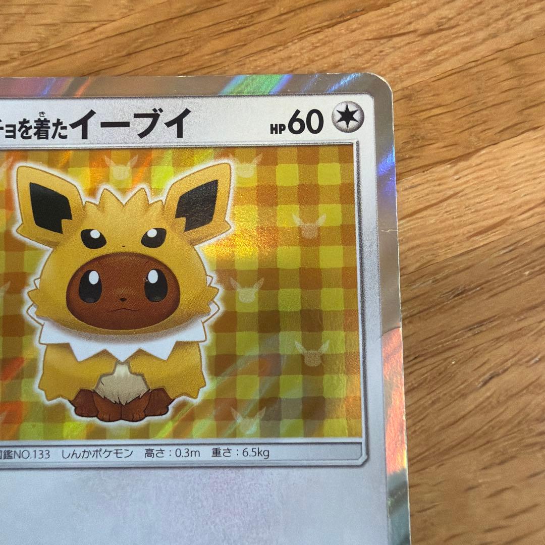 ポンチョを着たイーブイ T138/SM-P