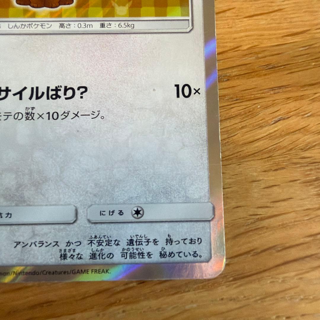 ポンチョを着たイーブイ T138/SM-P